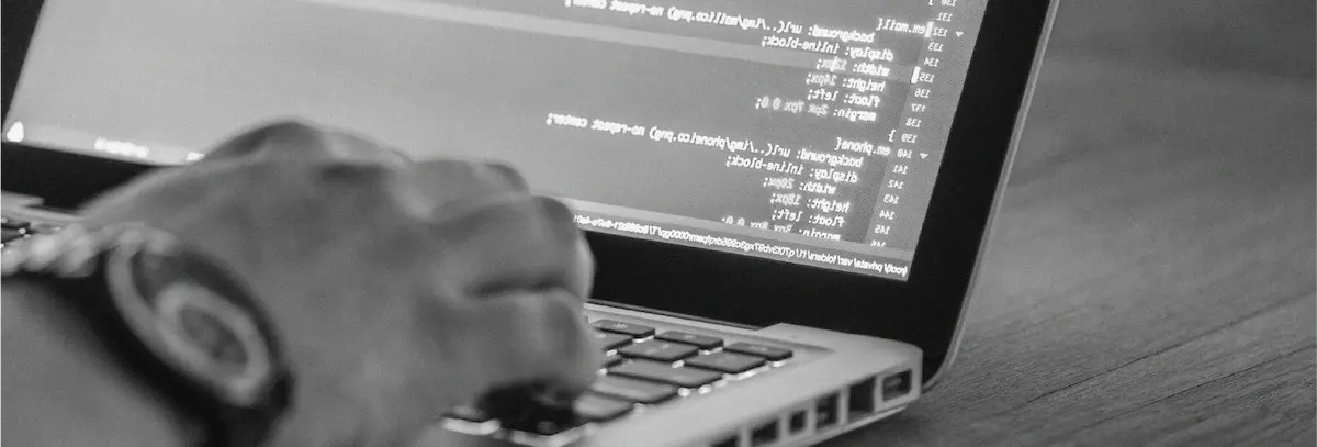 Développement de code expert et optimisation de performance web